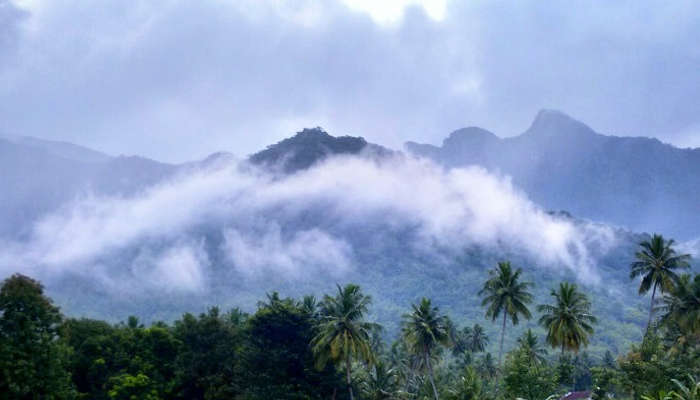 Kolli Hills A Guide To An Offbeat Paradise For A Perfect Escape