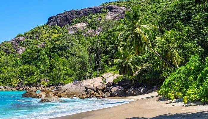 Anse Major Beach in Mahe