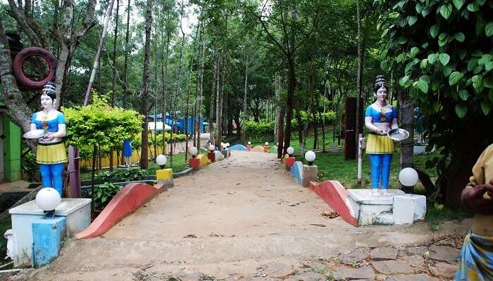 Kolli Hills A Guide To An Offbeat Paradise For A Perfect Escape