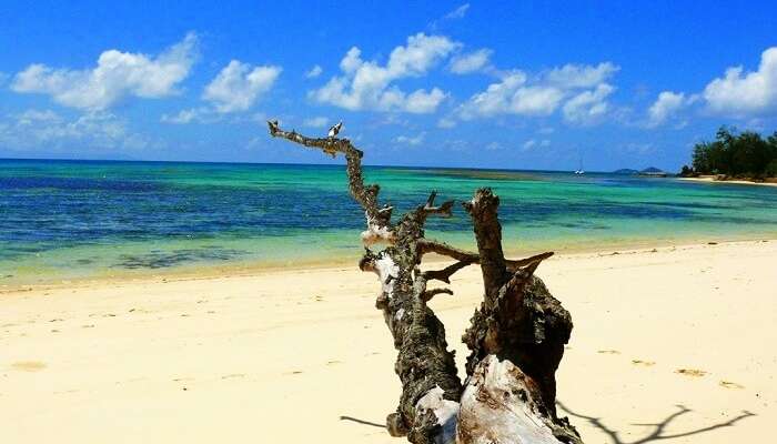 Anse St. Sauveur, Praslin