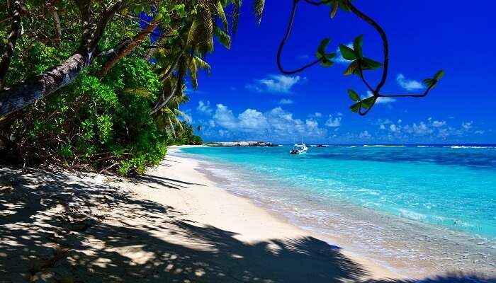 Anse Forbans beach in Mahe