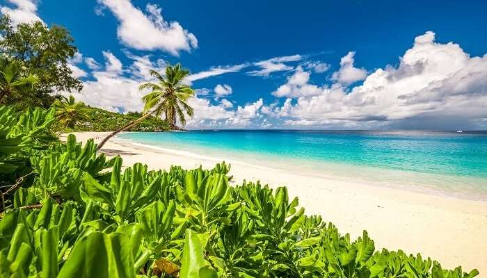 Anse Intendance beach in Mahe