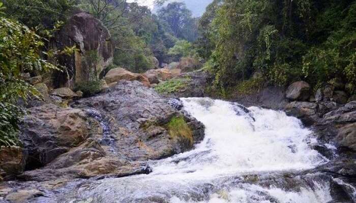 Kolli Hills A Guide To An Offbeat Paradise For A Perfect Escape