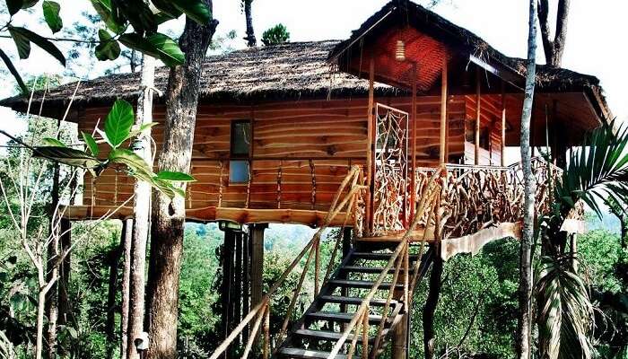 15 Tree Houses In Kerala For A Perfect Date With Nature