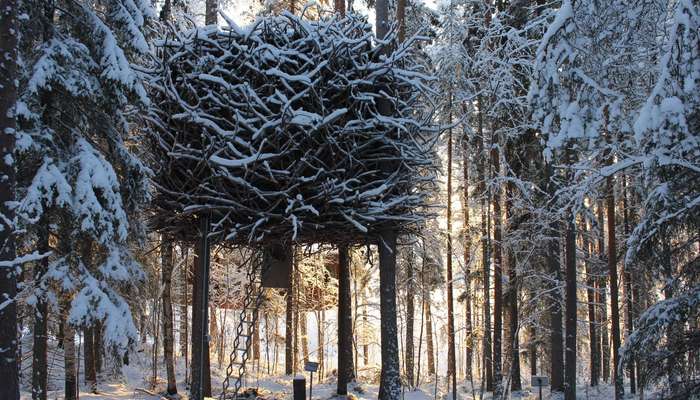 A beautiful view of Bird’s Nest Treehouse in Sweden covered in snow