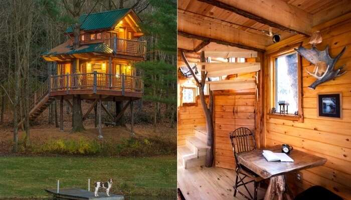 15 Best Treehouses In The World That Make The Dreamiest Stay Ever