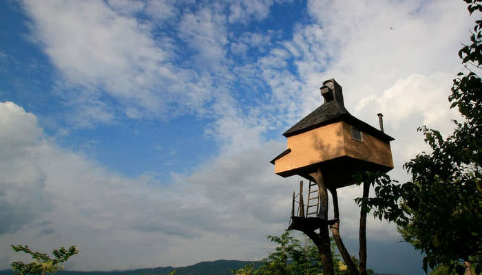 An exterior view of Takasugi-an Treehouse in Japan