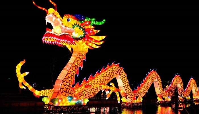dragon during new year in china
