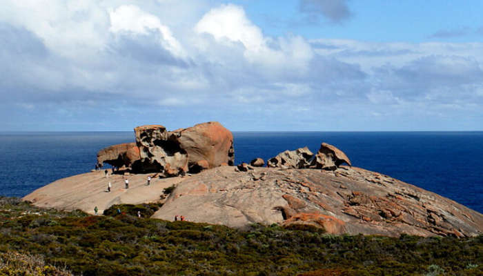 Explore The Kangaroo Island With This Ultimate Guide