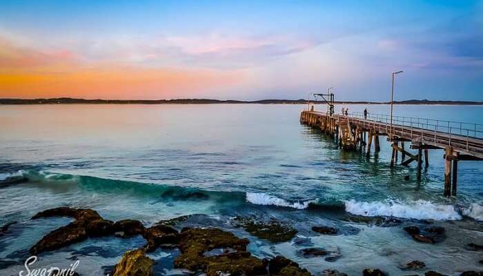 Explore The Kangaroo Island With This Ultimate Guide