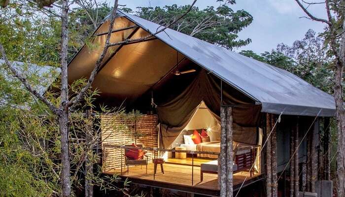 10 Best Kabini Resorts That Will Take You Closer To Nature