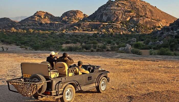 Jawai Leopard Camp