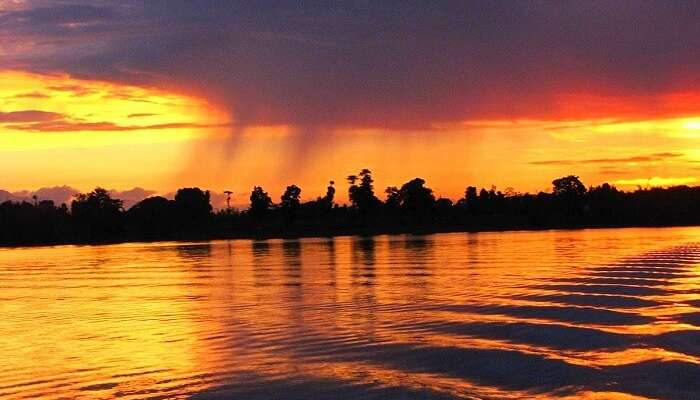 10 Best Kabini Resorts That Will Take You Closer To Nature