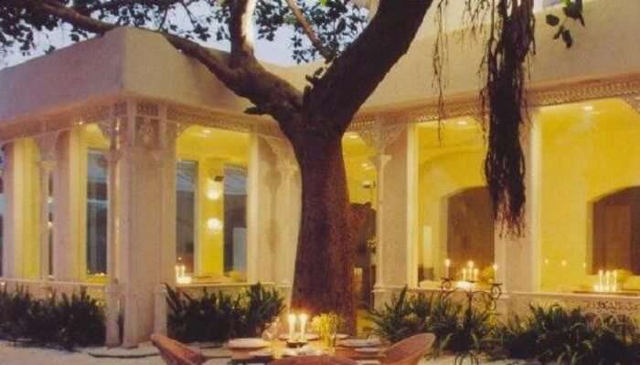 Olive-bar-and-kitchen1