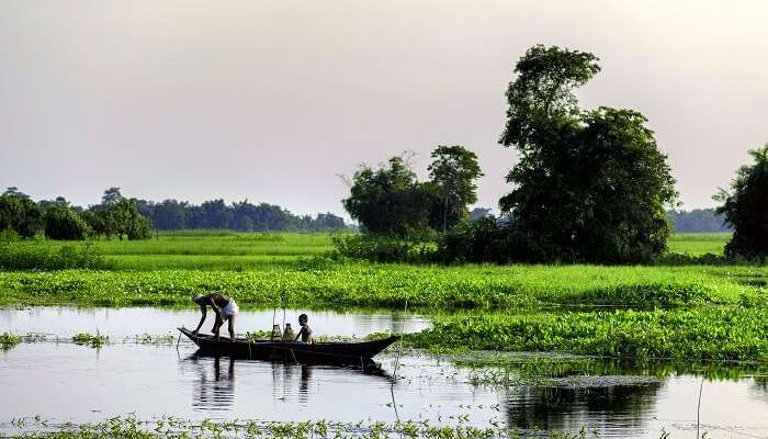 Majuli