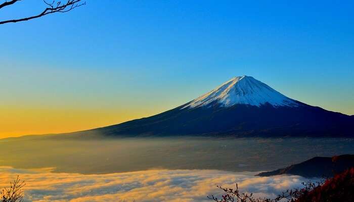 mt. fuji