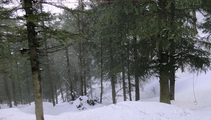 Kufri near Shimla in Himachal