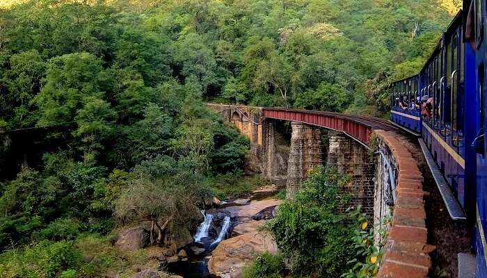 nilgiri railway ooty