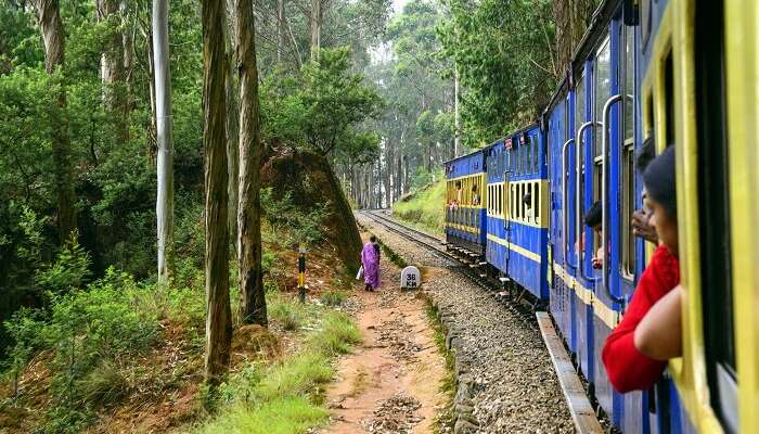 12 Best Things To Do In Coonoor (With Photos) On Your Trip In 2021