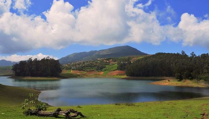 Avalanche Lake ooty