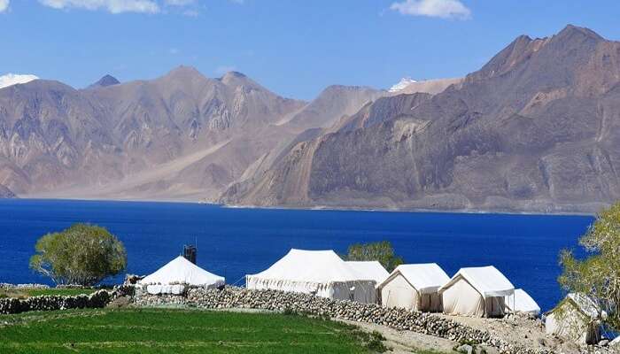 Camping In Leh 19 Camps That You Must Stay At In 2021