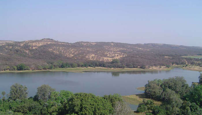 views of the surrounding forests