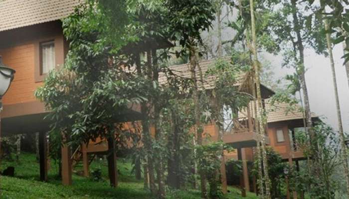 10 Best Cottages In Wayanad For A Peaceful Stay