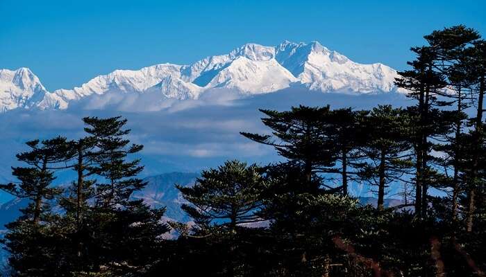 Khangchendzonga National Park Experience Nature At Its Best