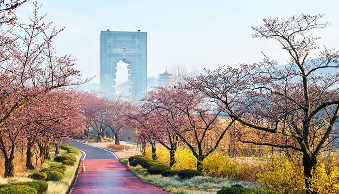 28 Best Places To Visit In South Korea In 2020 For A Perfect Holiday