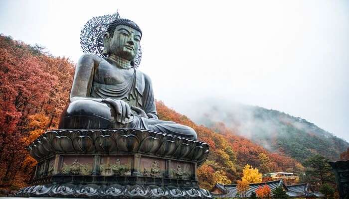 awestruck by the giant Buddha