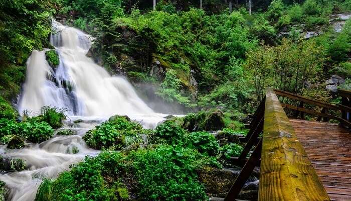 Triberg Germany Black Forest Waterfall Water germany