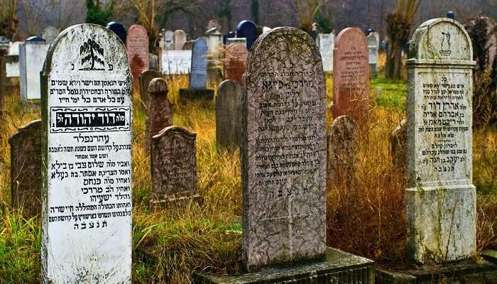 Тур заброшенных еврейских кладбищ в Будапеште Венгрии