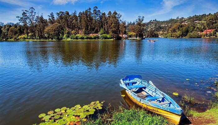 kodaikanal boat lake