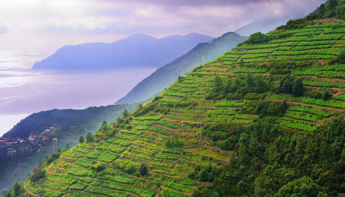 Cinque Terre nacionalinis parkas