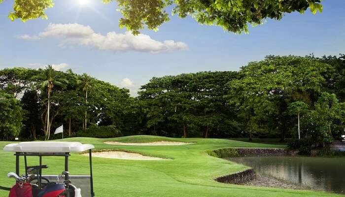 a beautiful oasis of landscaped lawns