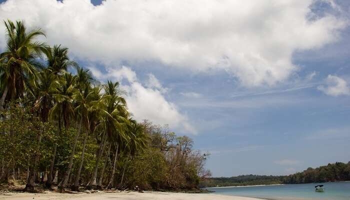 Gulf of Chiriqui Islands panama