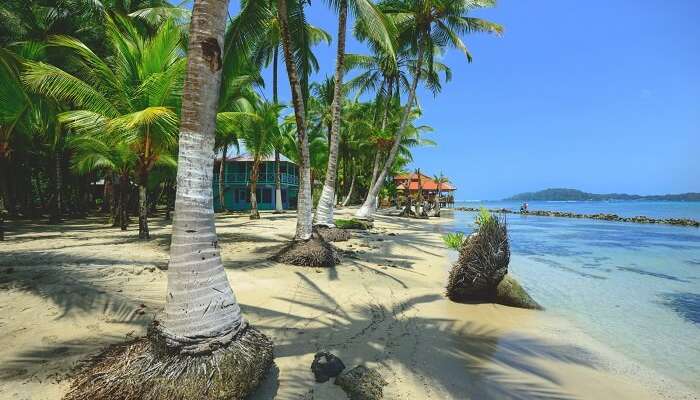 Isla Carenero Bocas del Toro Panama