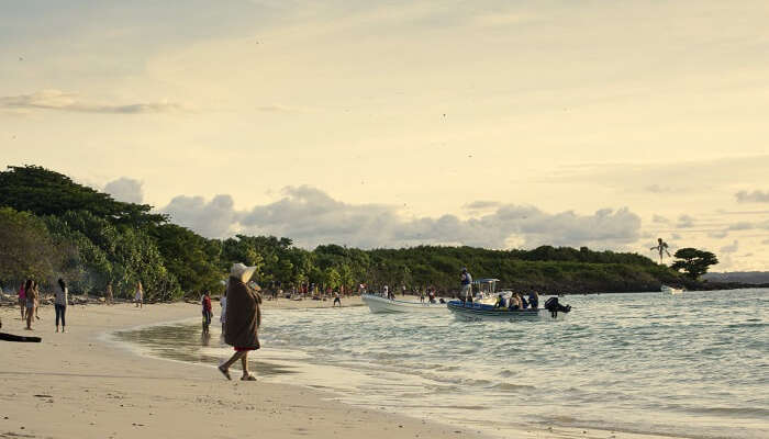 Isla Iguana panama