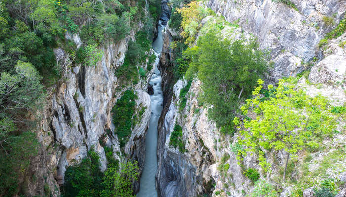 Polino nacionalinis parkas