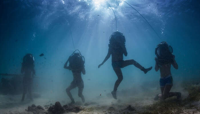 enjoy the underwater activities