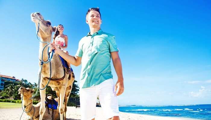 a tropical island like Bali offers camel safaris