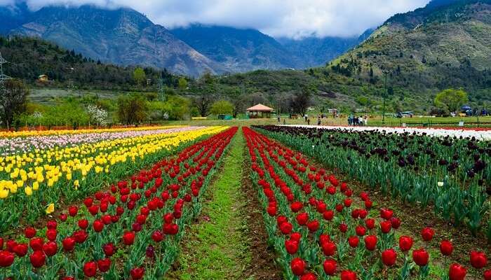 30 Updated Places To Visit In Kashmir (with photos) To Have Fun In 2021