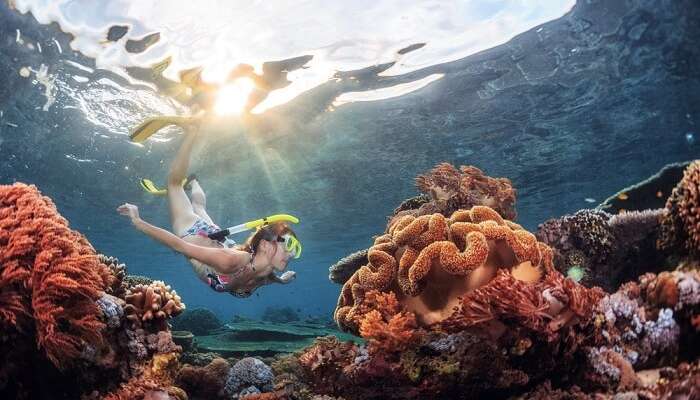 perfect for a memorable snorkelling experience