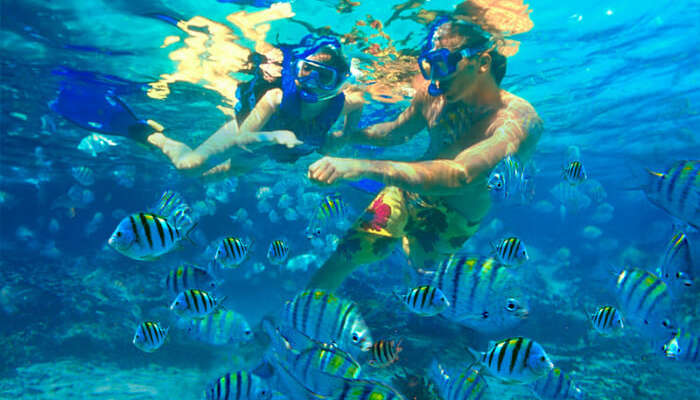 Blue Bay Marine Park in Mauritius