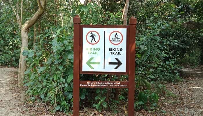 Chestnut Nature Park