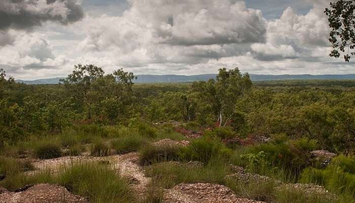 kakadu national park a guide to enjoy the best of nature