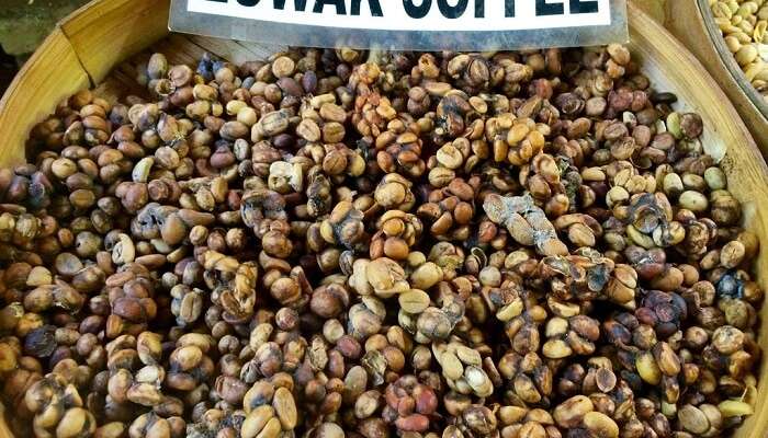 most expensive coffee