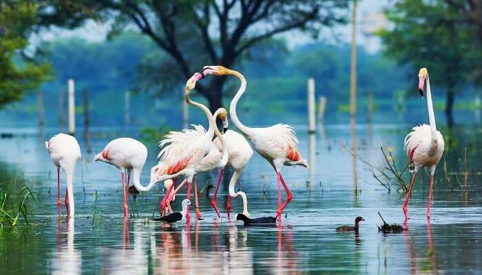 Bharatpur attractions