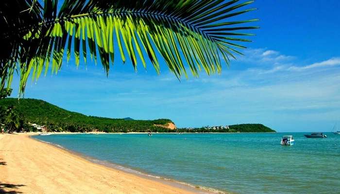 Naturist Bird Watching - 5 Best Nude Beaches In Thailand For A Chilled Out Trip In 2020!