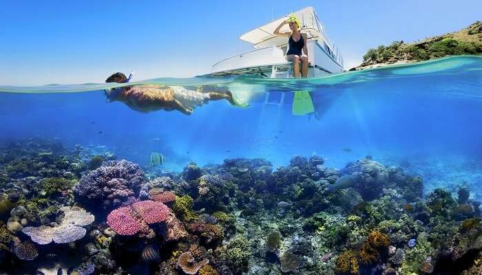 Dive into the coral reef